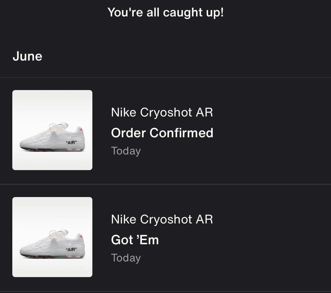 Virgil Abloh Archive Nike Cryoshot Zoom Size 10.5 Men