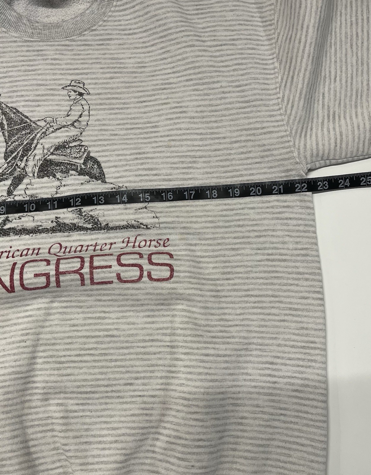 VTG Jerzees All American Quarter Horse Congress gray striped 80’s sweatshirt