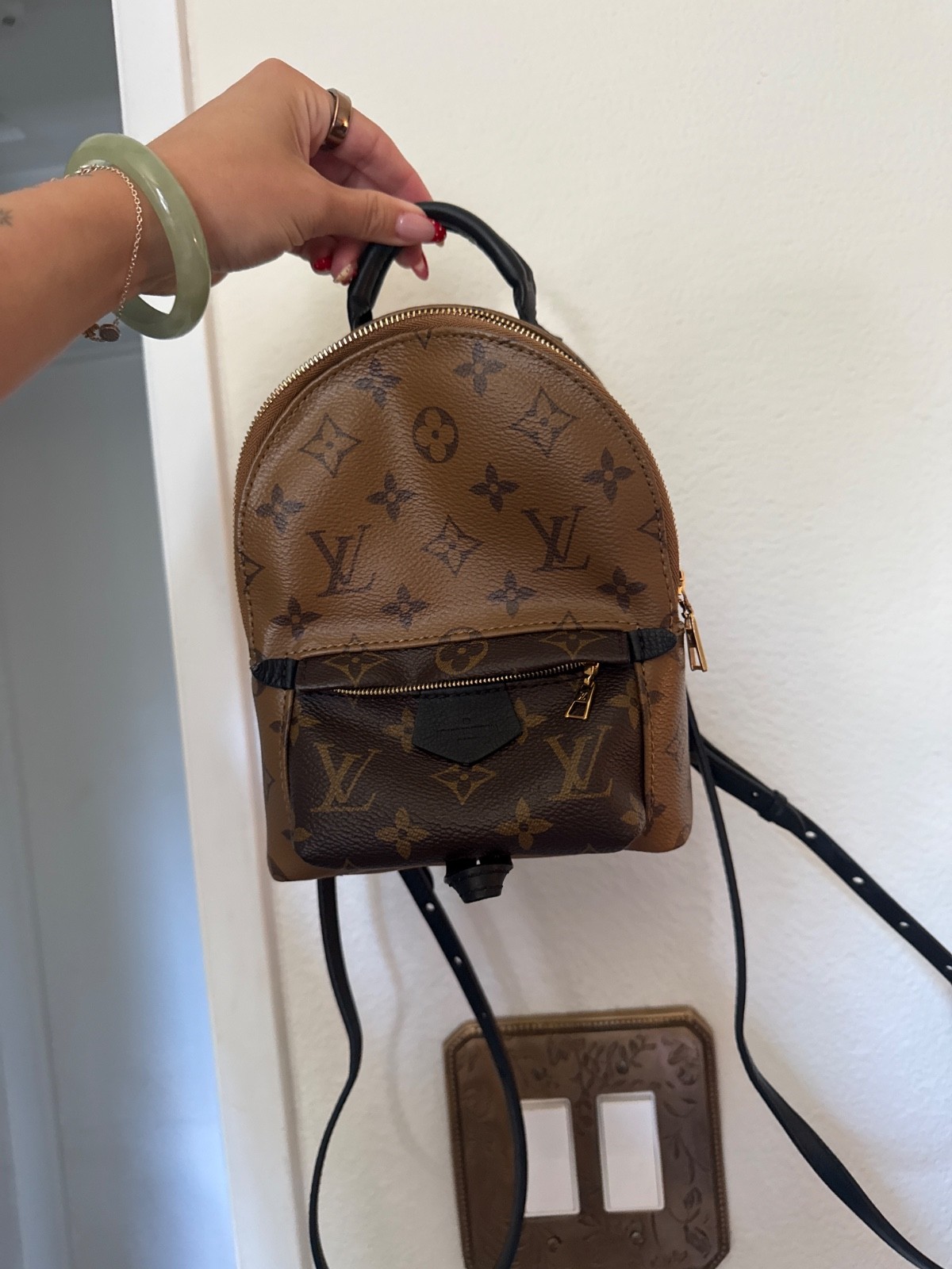 Louis Vuitton Palm Springs Backpack Mini Brown Canvas