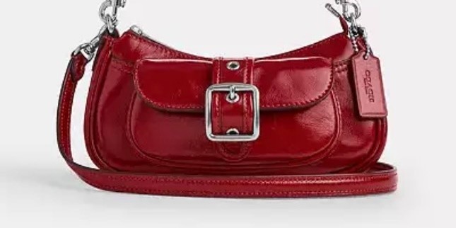 COACH ASHTON MINI SHOULDER BAG | DARK CARDINAL RED GLAZED LEATHER | SILVER | NWT