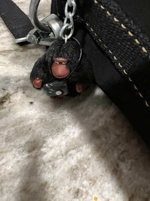 Kipling Cassidy Crossbody Camera Bag With Monkey Key Chain