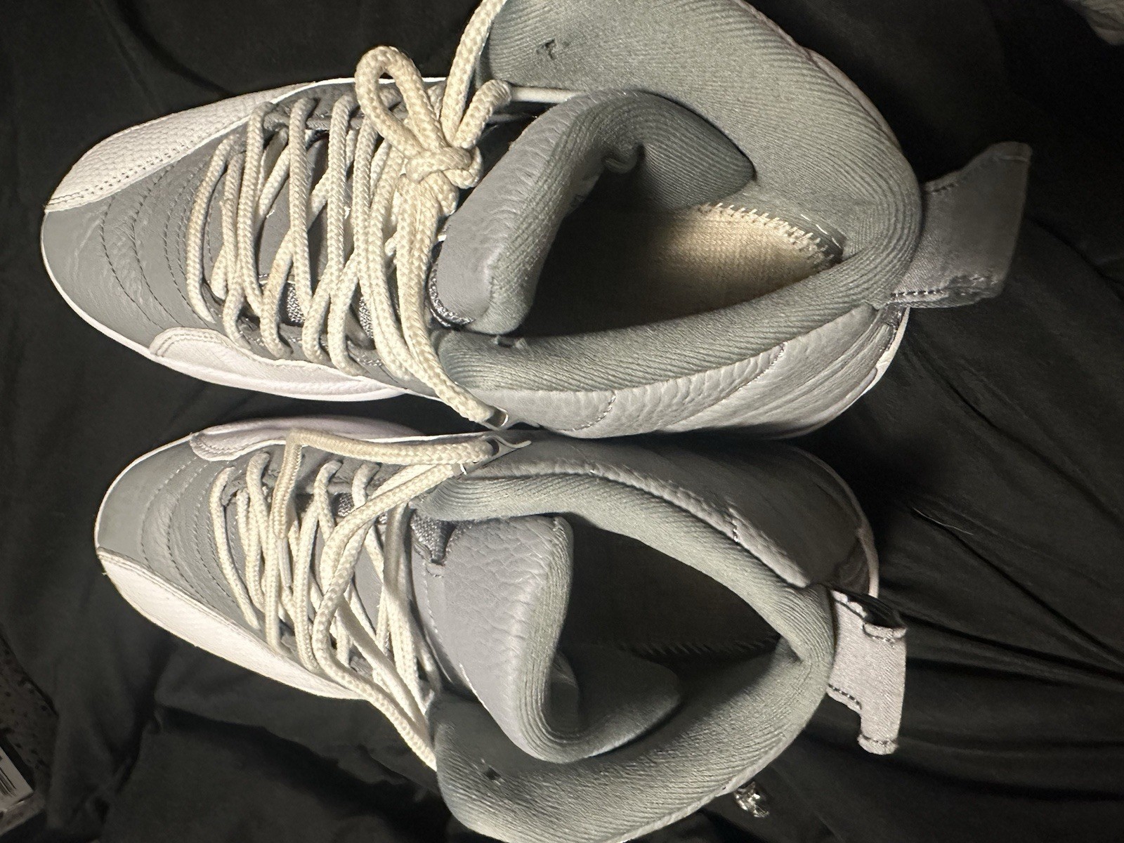 Jordan 12 Stealth Men’s