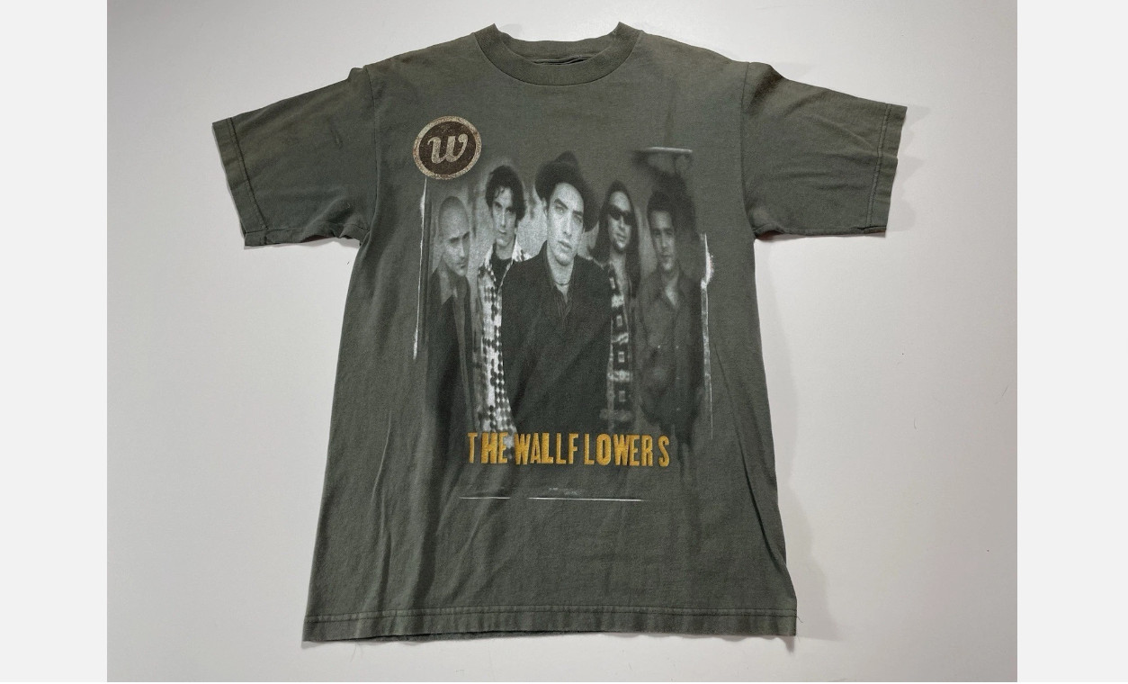 90s The Wallflowers Band Green Shirt Unisex All size