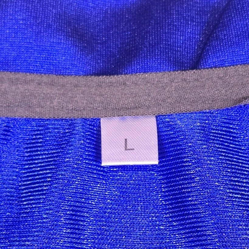 NWOT – Married with Children – Al Bundy Polk High Football Jersey – L