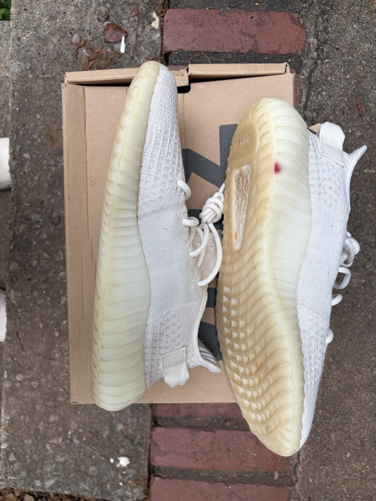 adidas Yeezy Boost 350 V2 Bone HQ6316 Low Top Sneaker Kanye West 2022