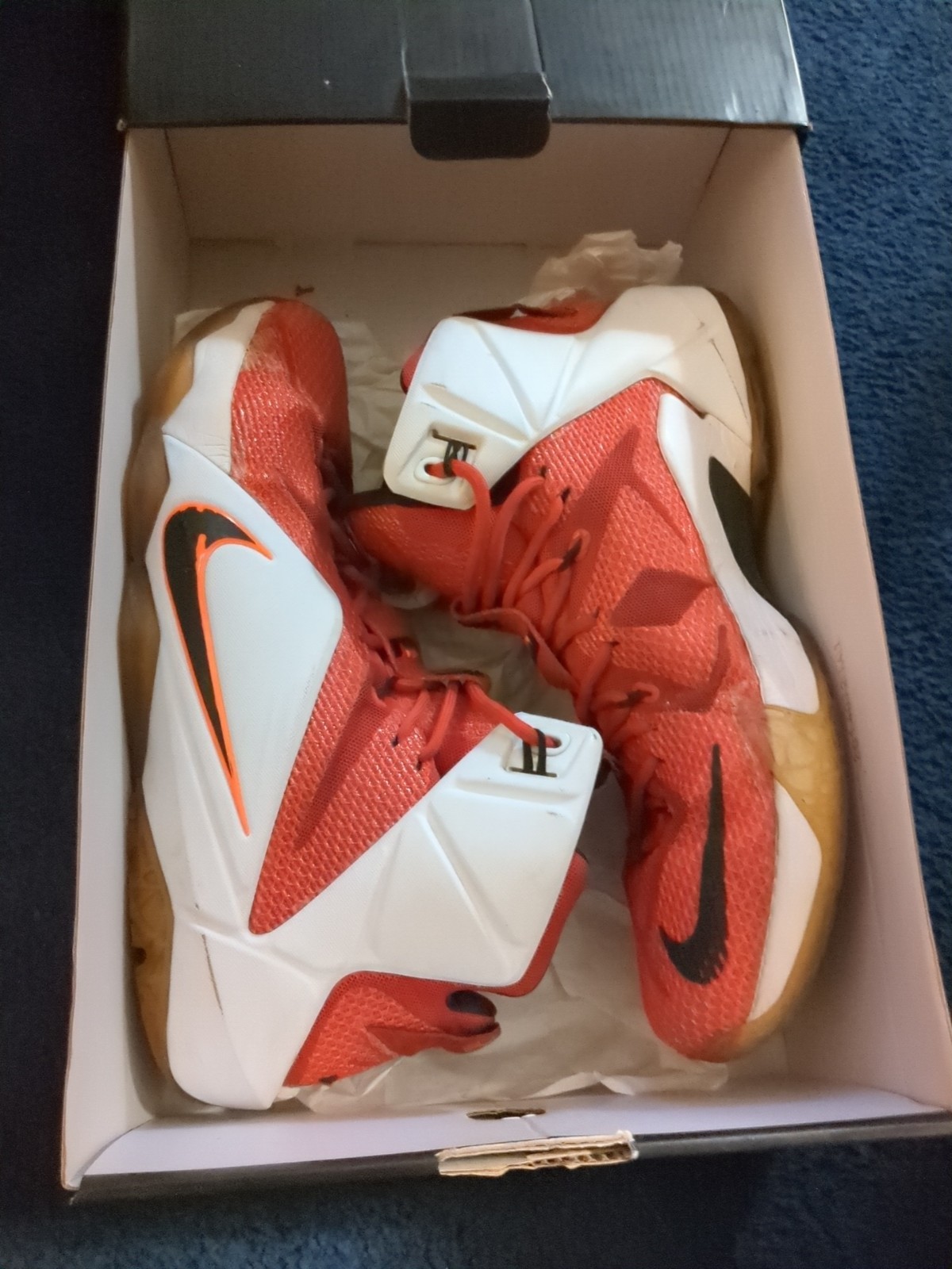 Nike LeBron James XII Men’s Size 11