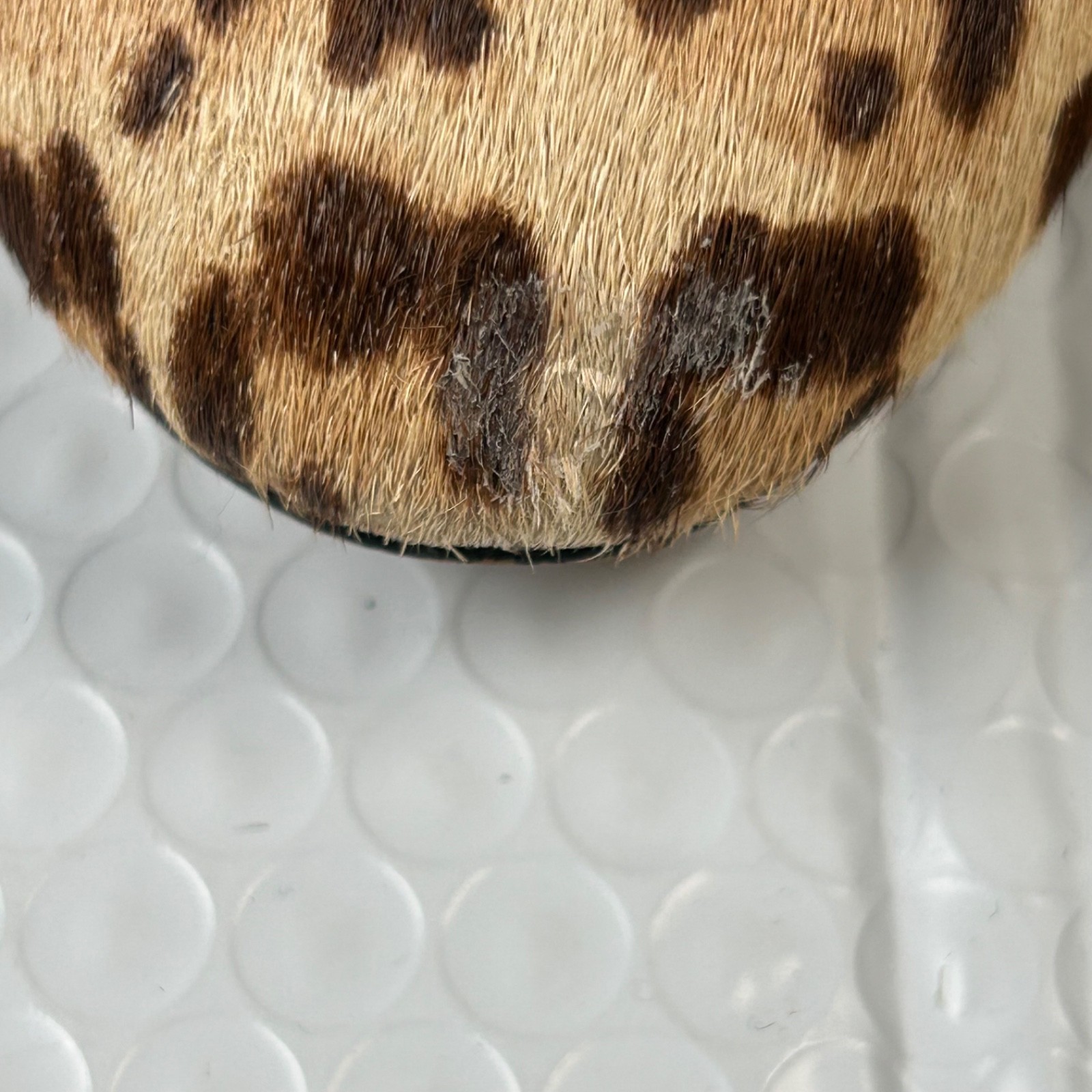 Sam Edelman Case Leopard Calf Hair Ankle Boots Chelsea Block Heel Women’s Size