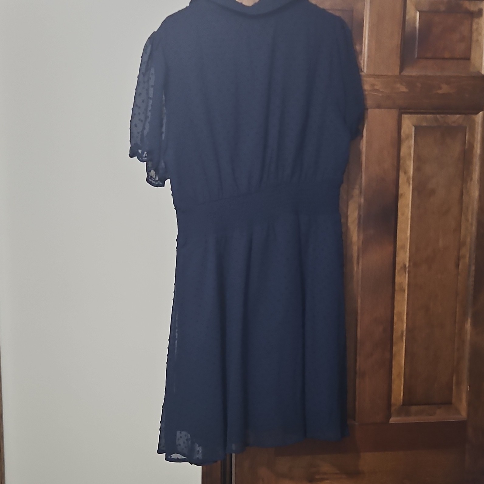 Pretty Garden Navy Sheer Chiffon Collared Button Front Maxi Dress XL