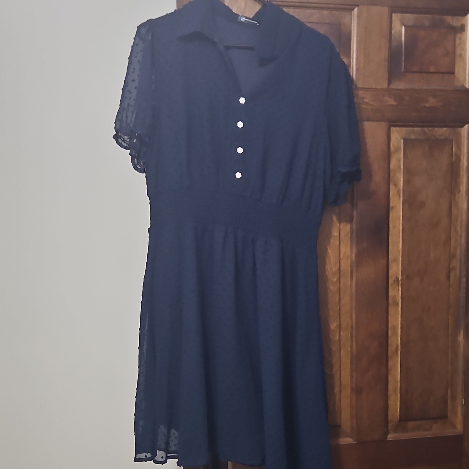 Pretty Garden Navy Sheer Chiffon Collared Button Front Maxi Dress XL