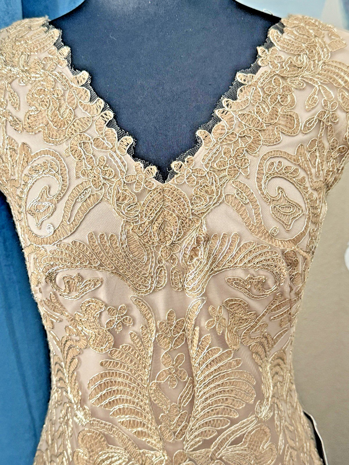 TADASHI SHOJI CORDED EMBROIDERED LACE DRESS SIZE 2