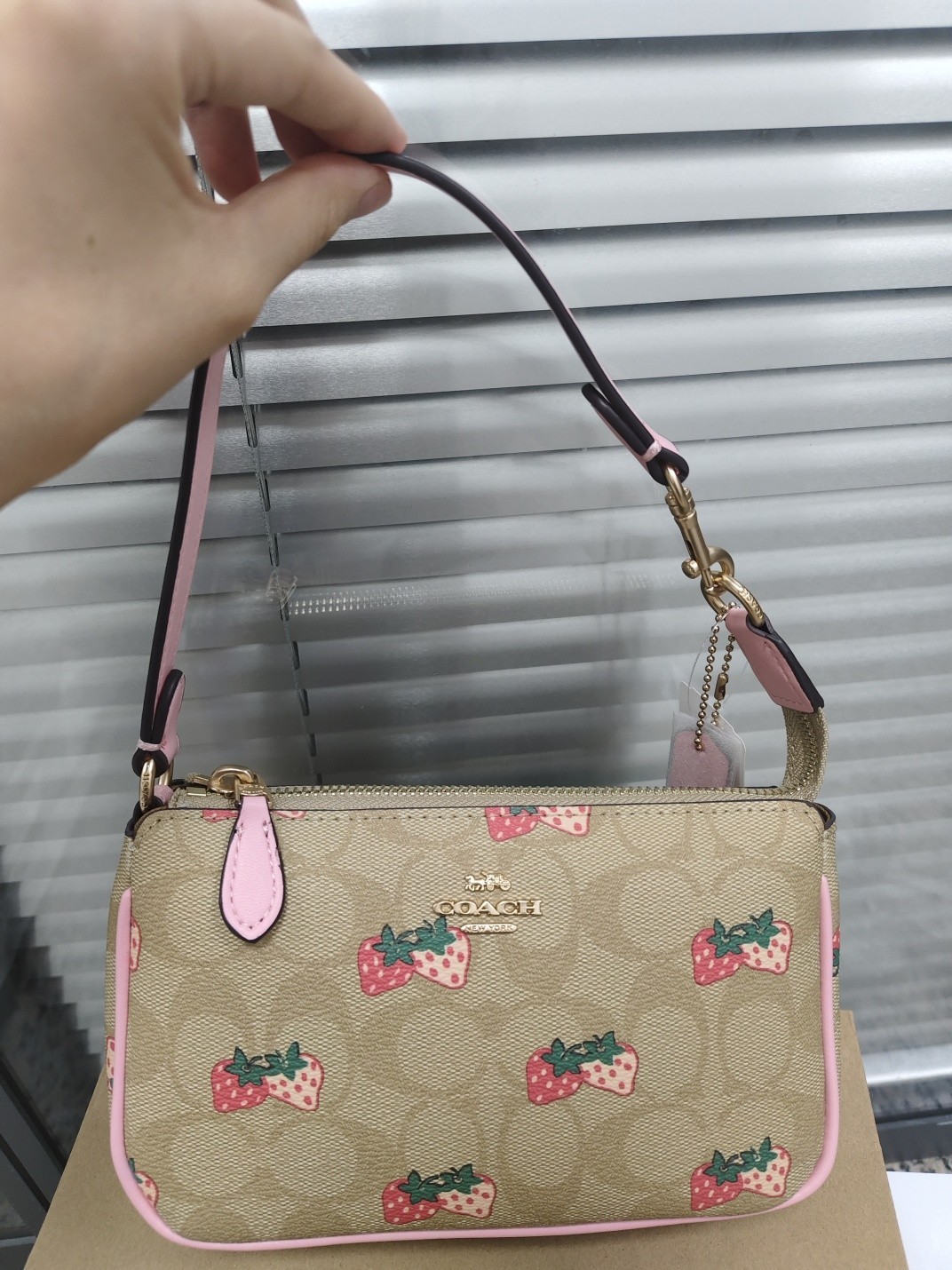 Coach Nolita 19 Shoulder Bag Small Handbag with Strawberry Print Brand New