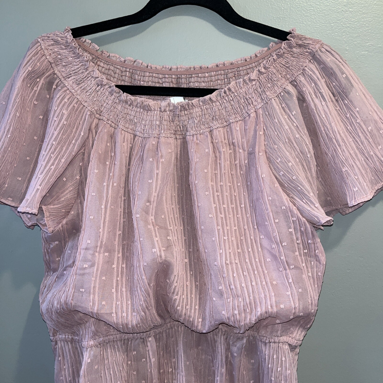 Mine Off The Shoulder Flutter Top Womens L Pink Sheer Swiss Dot