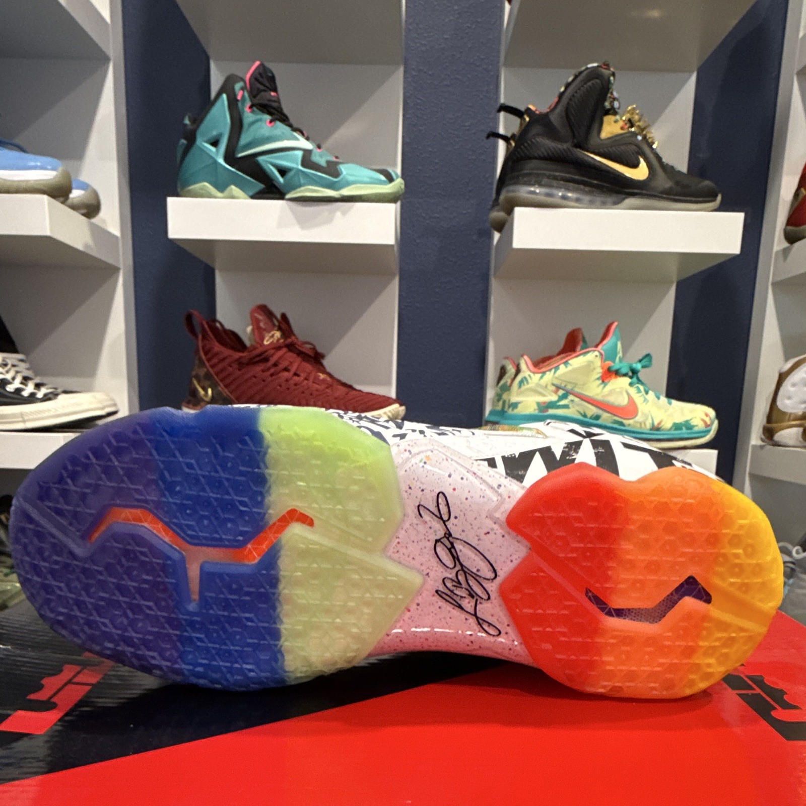 Nike LeBron 11 Premium What The LeBron Multicolor 650884-400 2014