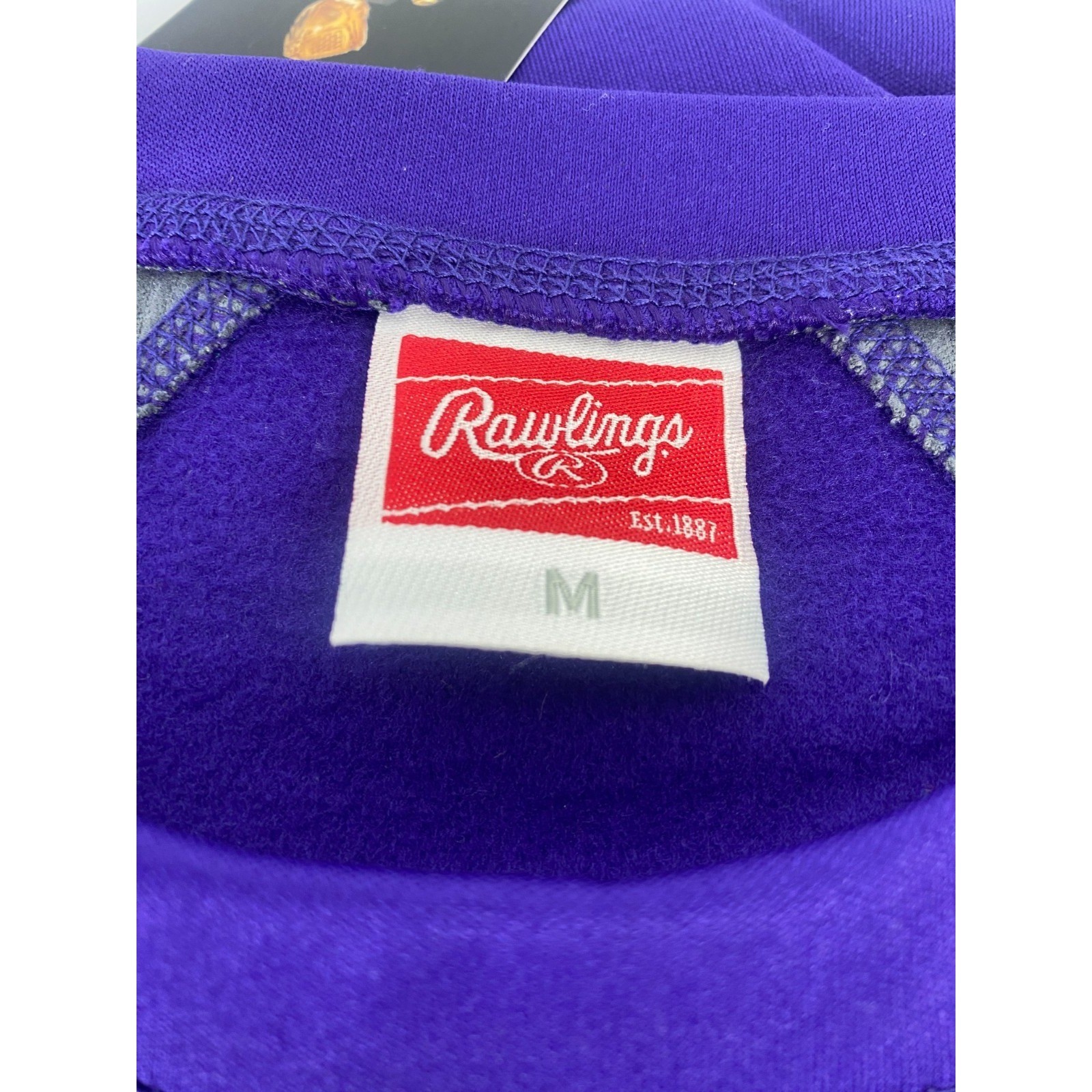 Rawlings Performance Fleece Pullover Mens Medium Purple NWT UDFP4-PU-89 Athletic