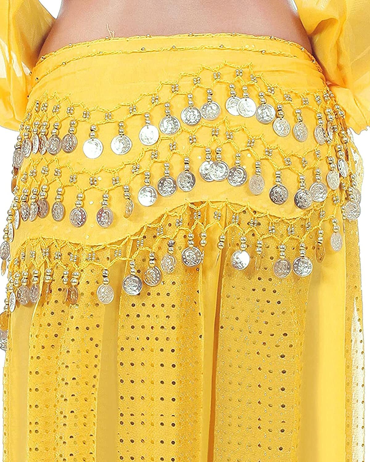 Chiffon Belly Dance Hip Scarf Wrap Belt Tribal Sash Skirt Silver Coins Costume
