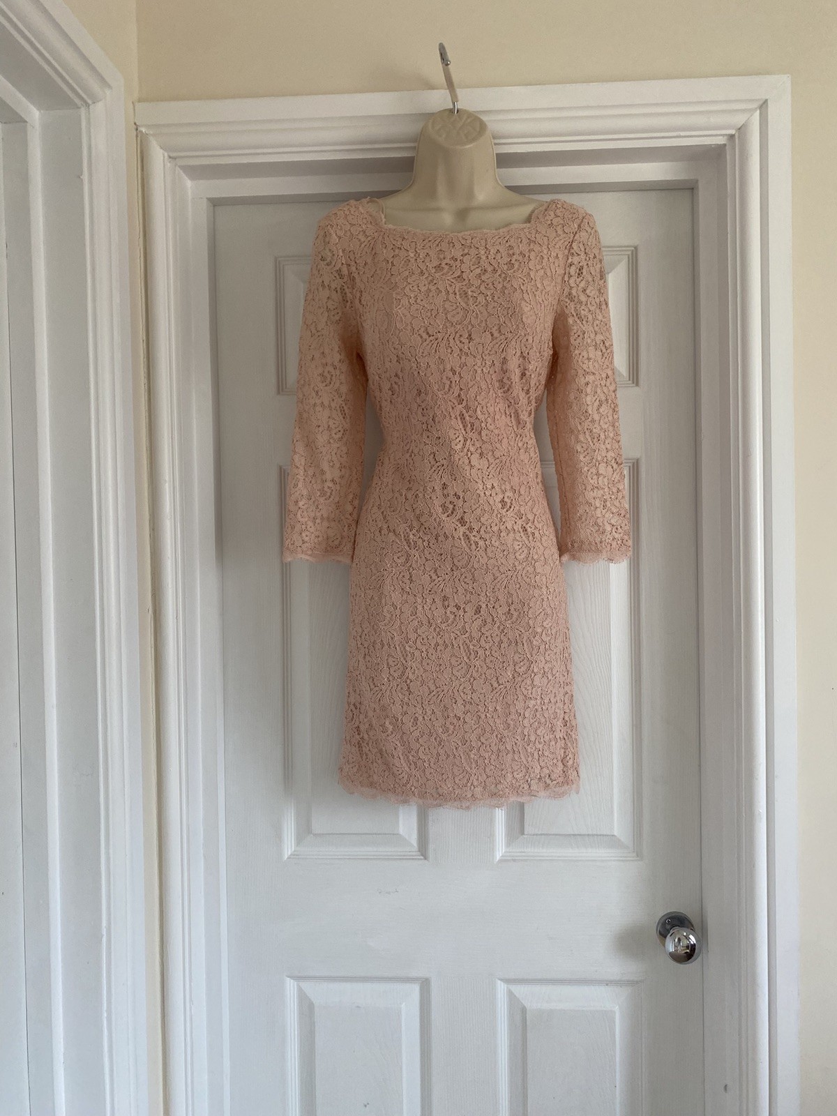ADRIANNA PAPELL NEW YORK BNWT APPLIQUÉ LACE SIZE 8/10 BLUSH WIGGLE PARTY DRESS
