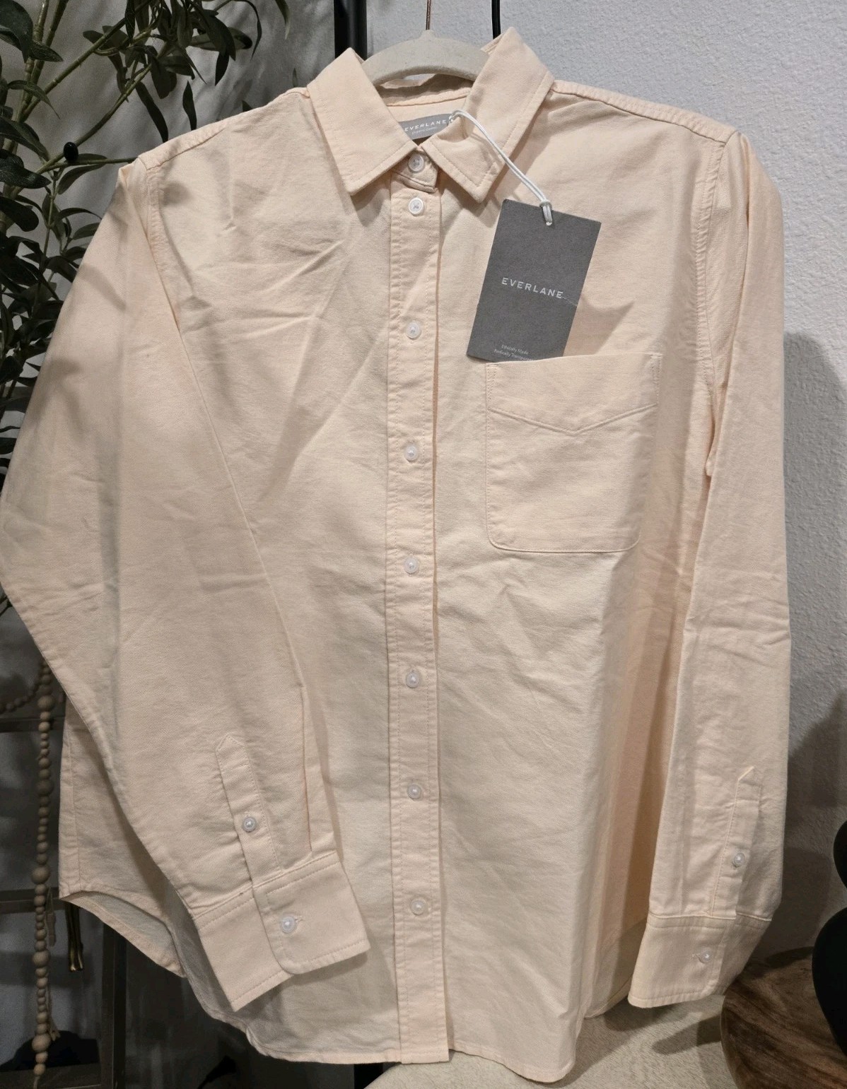Everlane The Relaxed Oxford Shirt Apricot SZ 2