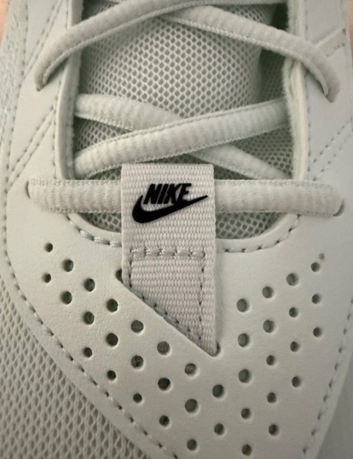 Nike Air Zoom G.T. Cut Academy Barely Green Washed Coral FB2599-301