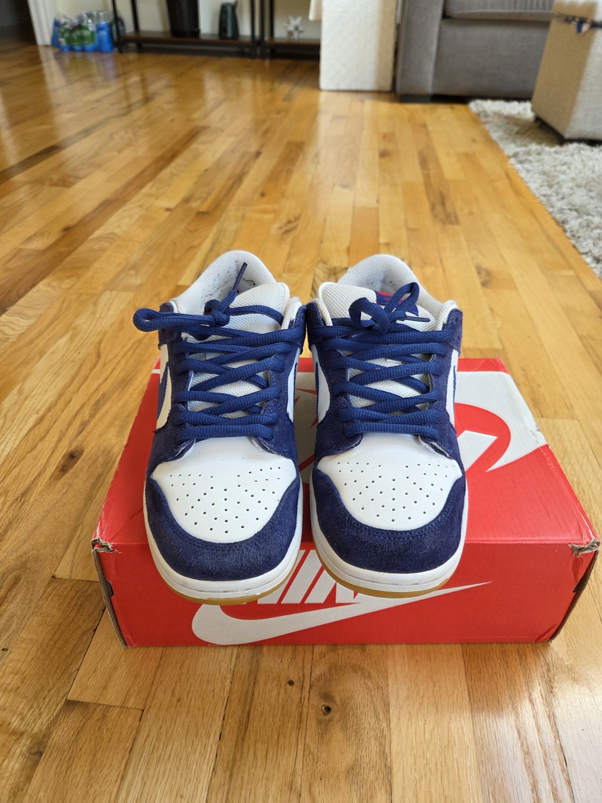 Size 10 – Nike SB Dunk Low Los Angeles Dodgers