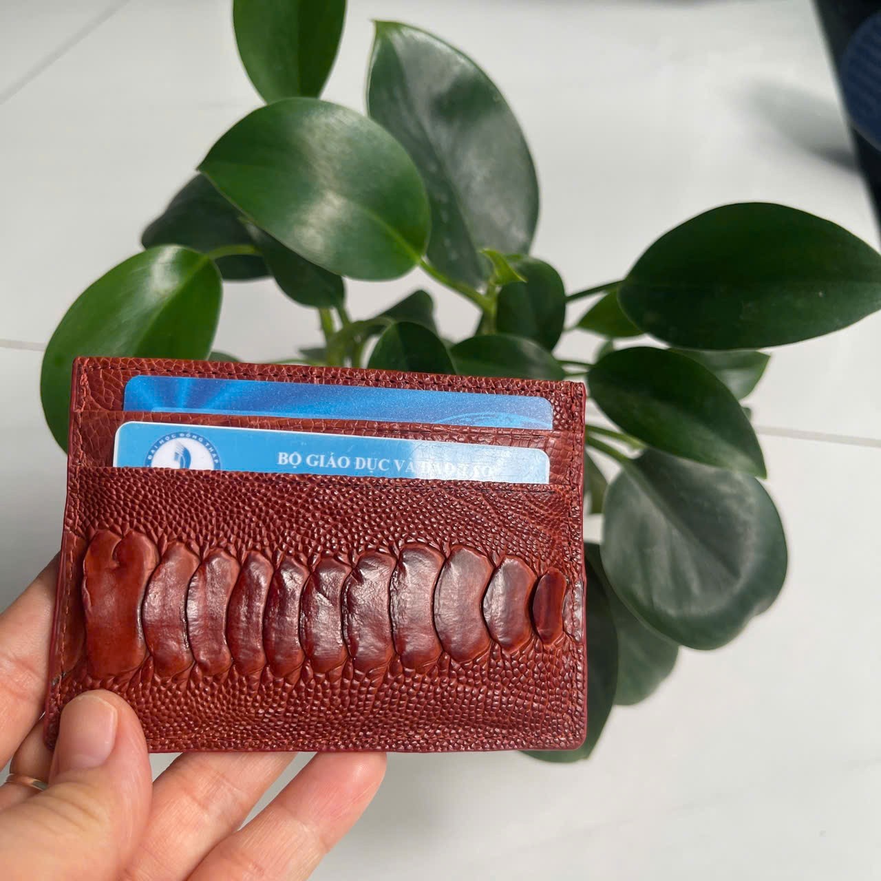 BrownGENUINE OSTRICH LEATHER SKIN CREDIT CARD HOLDER/ WALLET CARD HOLDER FOR MEN