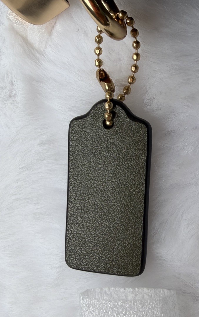 NWT Coach Teri Shoulder Bag CAL51 Olive Green Gold Hardware Signature
