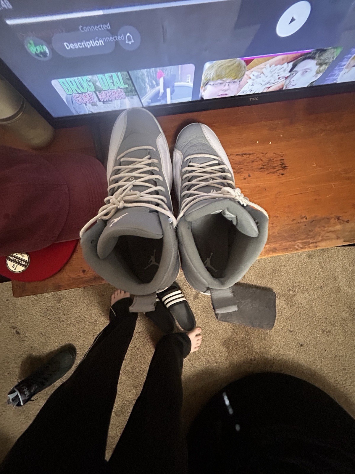Jordan 12 Stealth
