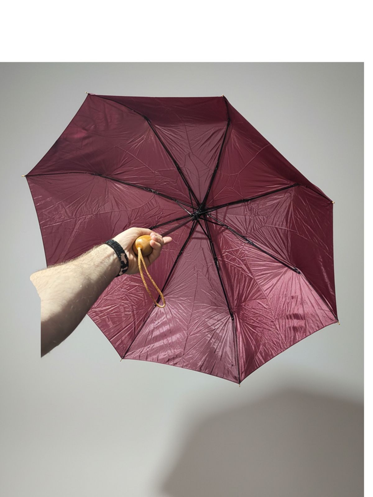umbrella