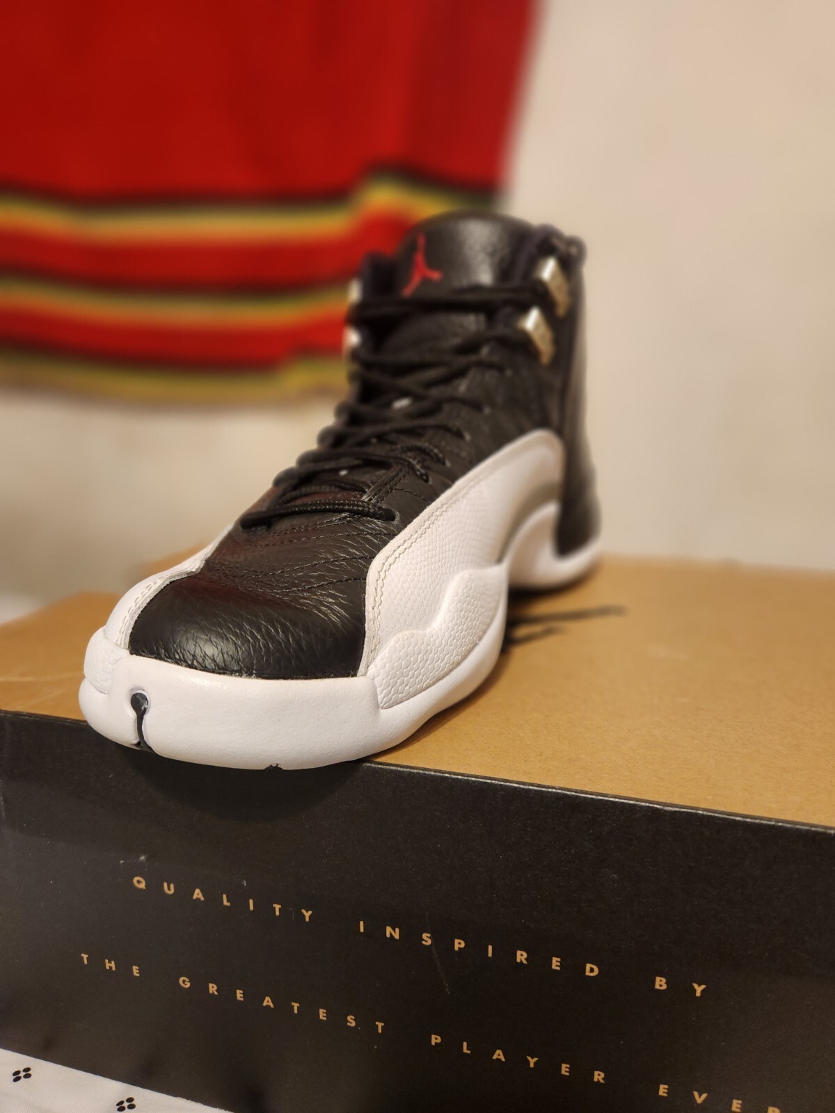 Size 10 – Jordan 12 Playoffs 2022