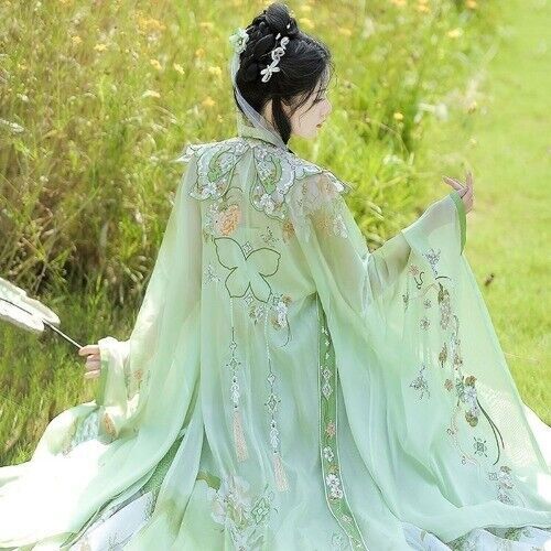 Chinese Hanfu Ming Dynasty Cloud Shoulder Stand Collar Long Shirt Pleated Dress