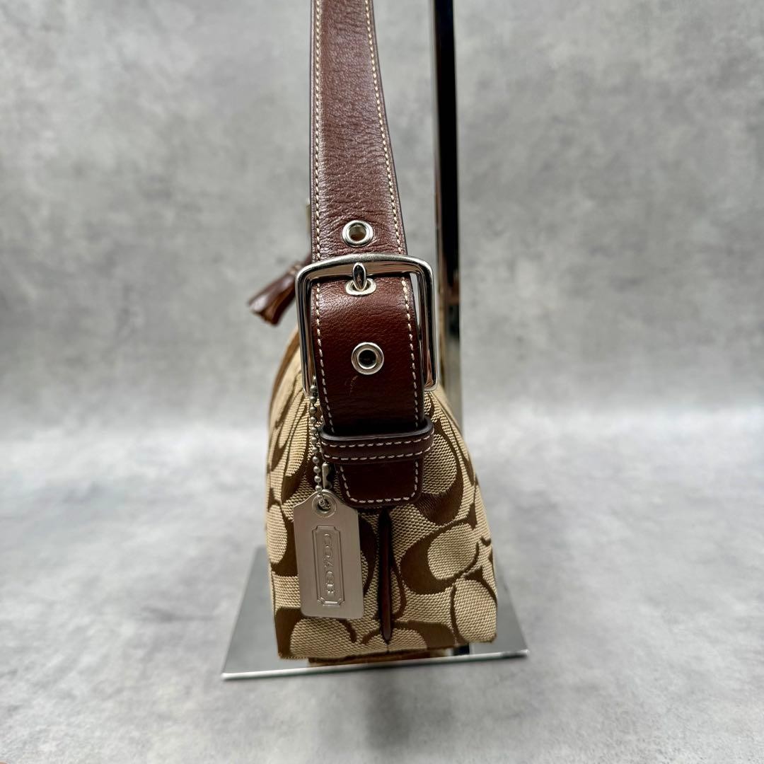 COACH Signature Accessory Pouch Stripe 7039 Brown Vintage Small Shoulder bag