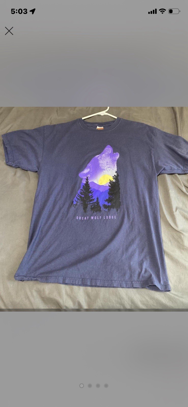 The Duck Co Great Wolf Lodge Blue Graphic Print Crew Neck Short Sleeve T-Shirt L