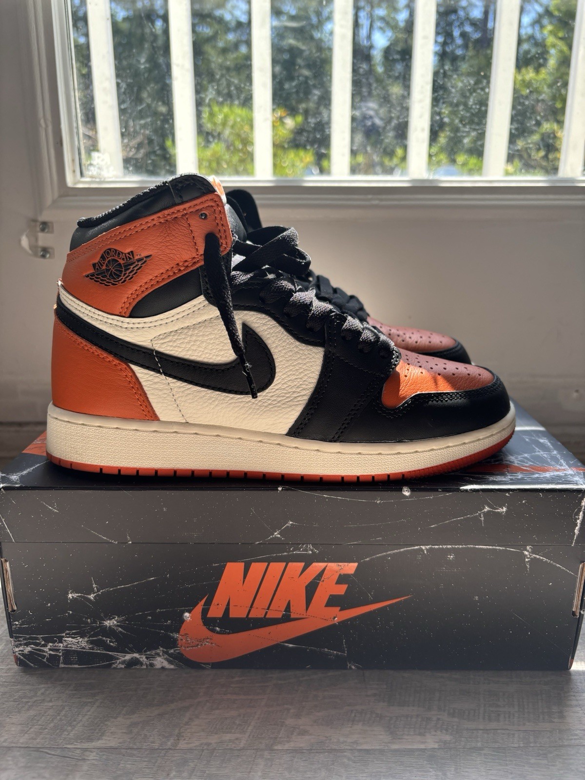 Nike Air Jordan 1 – Shattered Backboard Youth Size