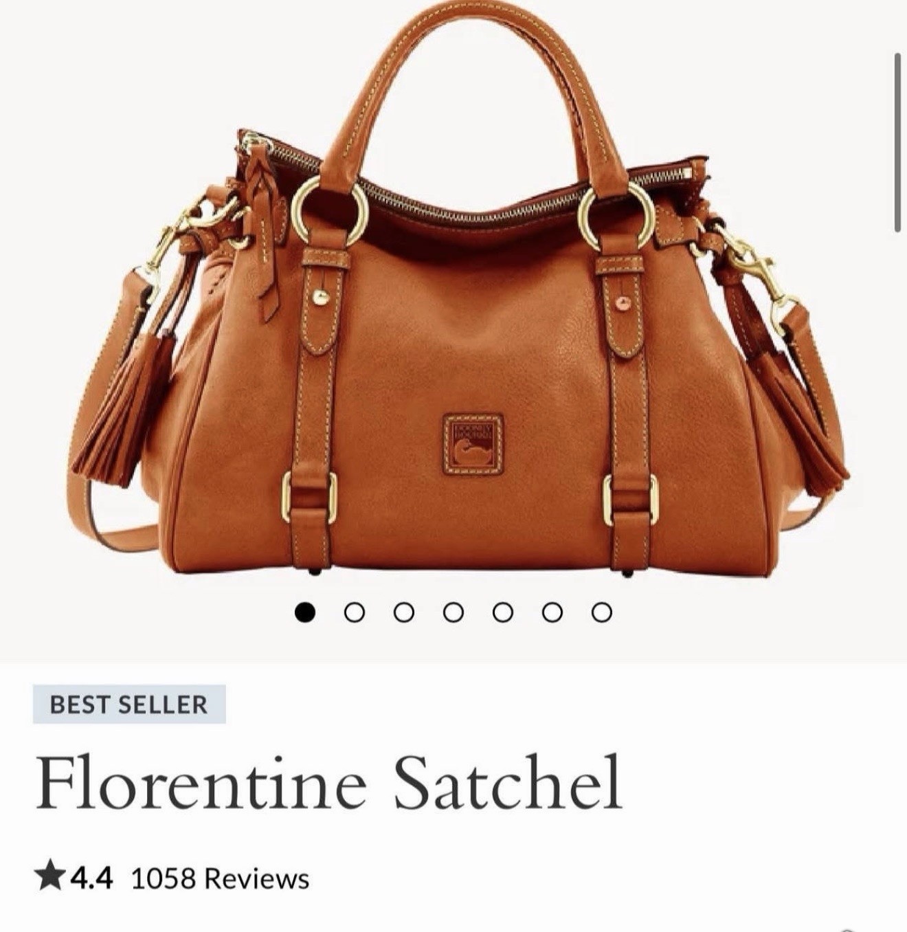 Dooney & Bourke Florentine Natural Satchel, Zip Tassel, Strap, Gold, Pockets
