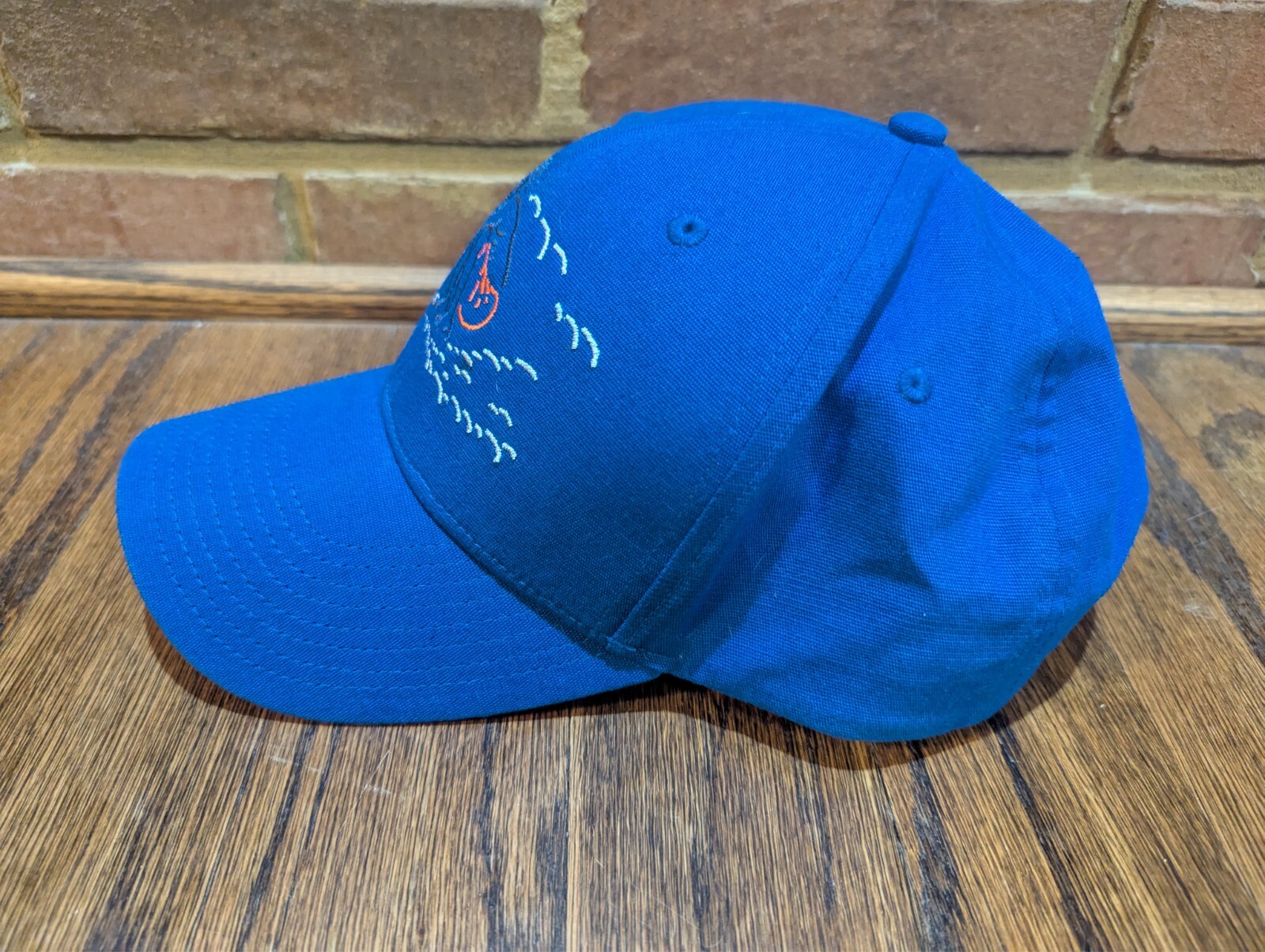 Patagonia Surfer Roger That CAP Rare Blue Hat Surfing Surf Beach Ocean Waves