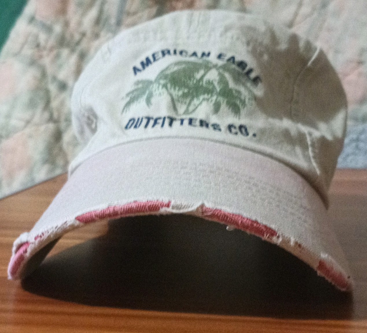 Vtg American Eagle Outfitters Palm Tree Dad Hat Distressed Made in Taiwan Y2K