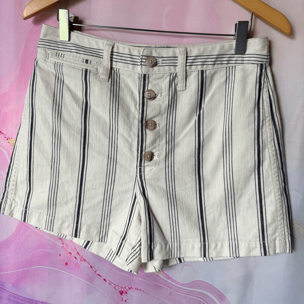 Madewell 28 Cream Navy Blue Striped Shorts Boardwalk Preppy Nautical Retro Artsy