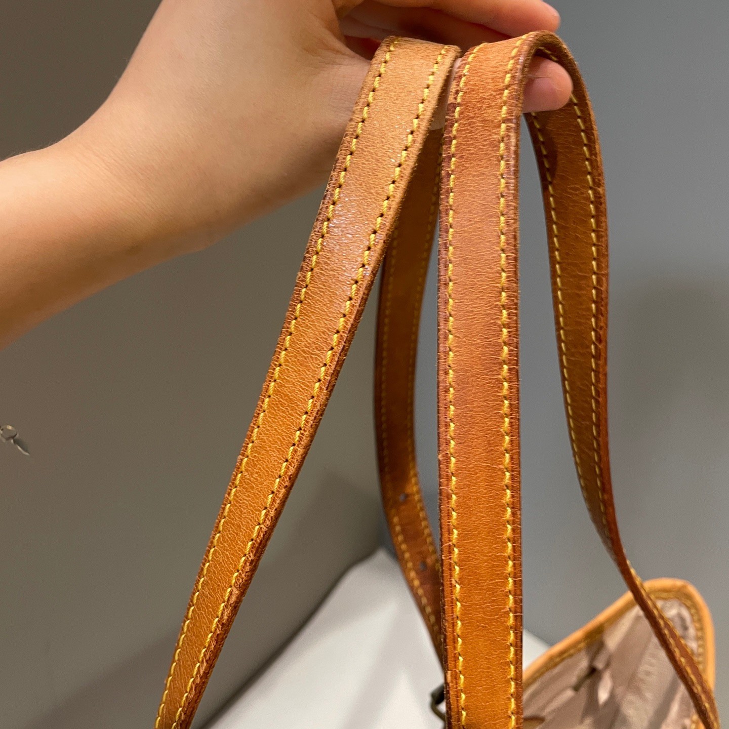 Louis Vuitton Noe GM Monogram Large Bucket Bag