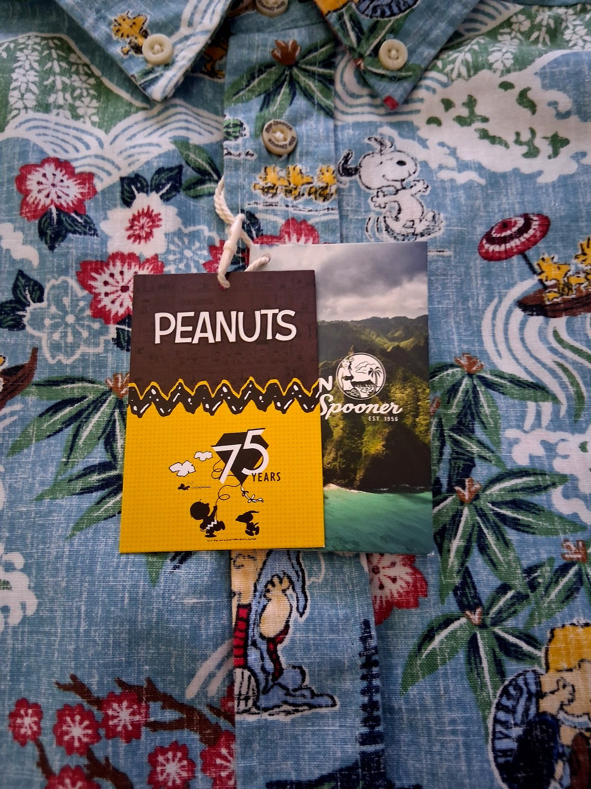 Reyn Spooner Boy’s “PEANUTS IN JAPAN” NWT Aqua Button Front Shirt Sizes