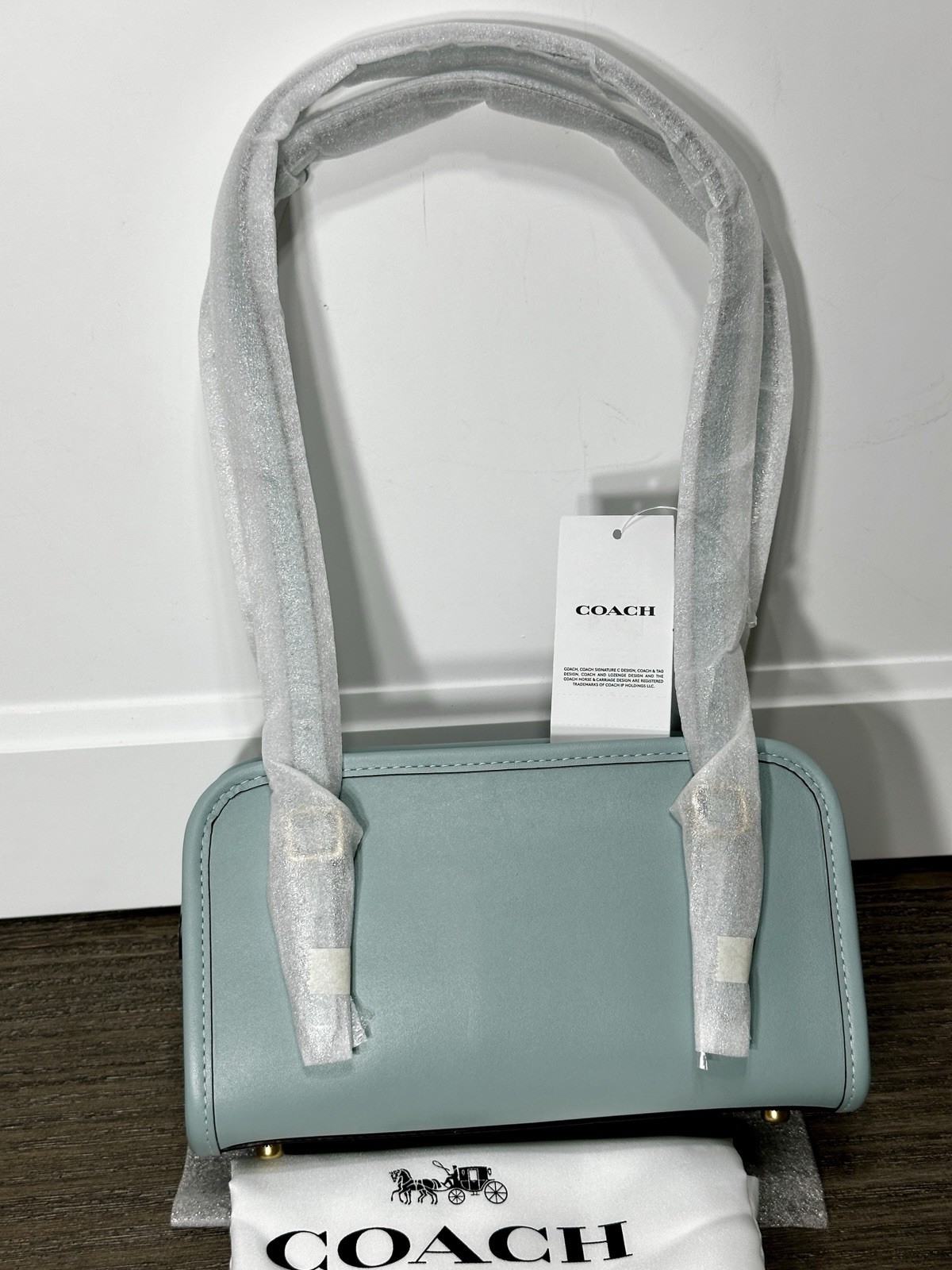 Coach Swing Zip Bag 20 in Light Blue Glovetanned Leather CAM45 NWT
