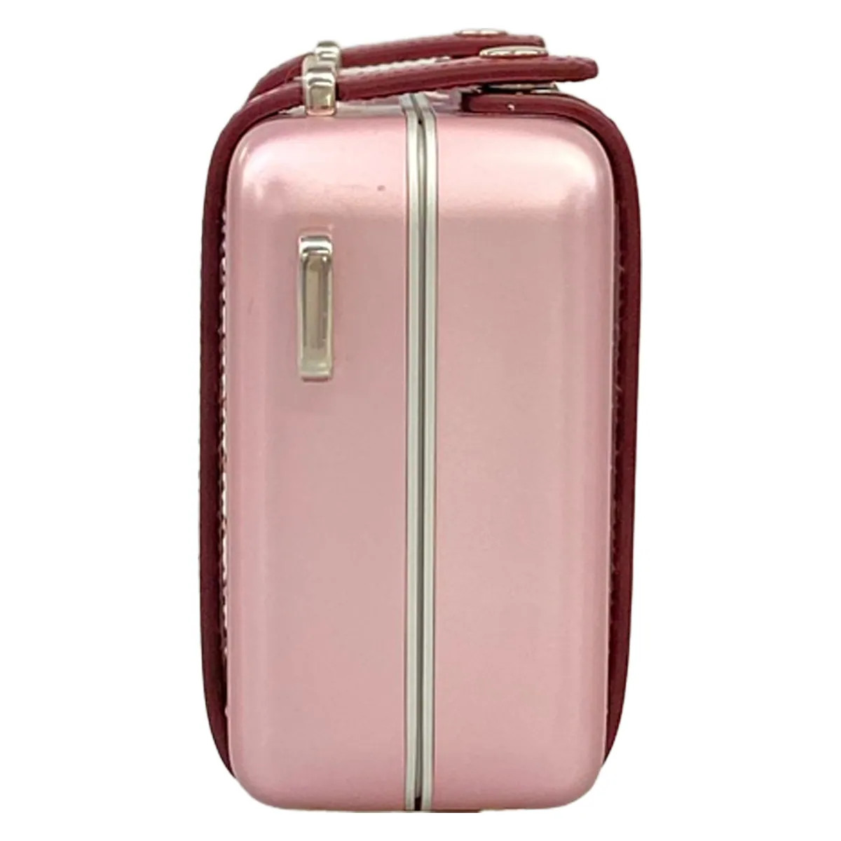 DIOR/ChristianDior Dior and RIMOWA Personal Clutch Bag 2DRCA295YWT_H30E Pink
