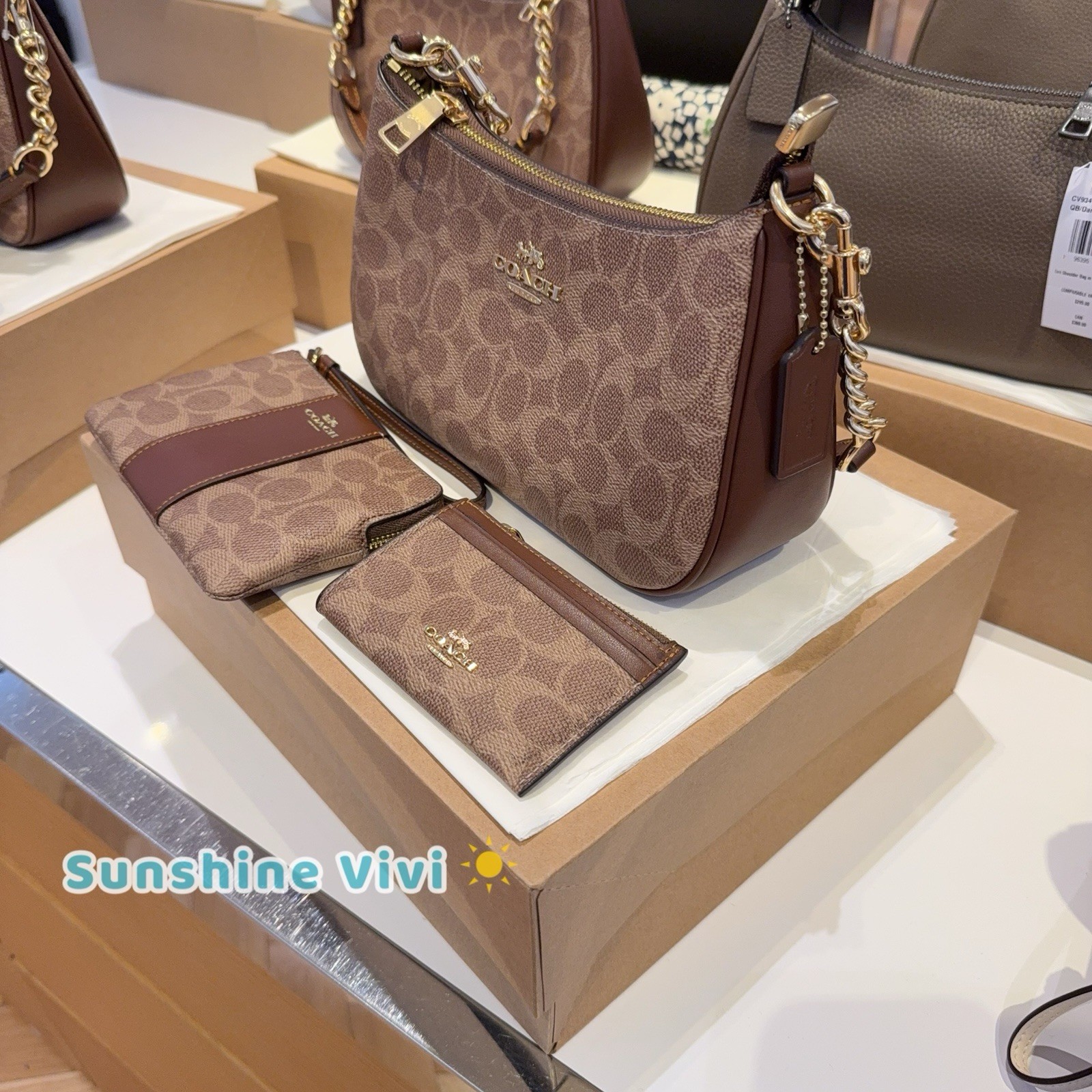 NWT Bundle Coach Teri Shoulder Bag CV933 & CW854 Wristlet & CW870 ID Case BROWN