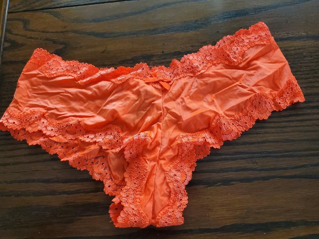 NWT RARE 2015 Victoria’s Secret NYLON SPANDEX 23% CHEEKY PANTIES 11042321 L