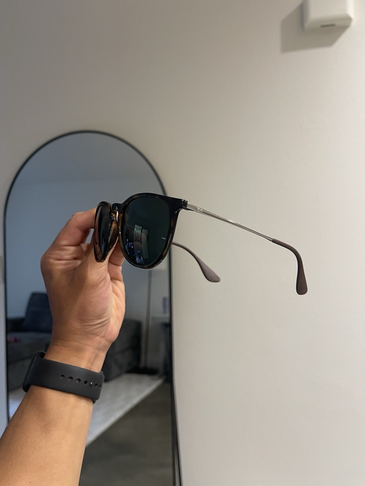 Ray-Ban Erika Sunglasses