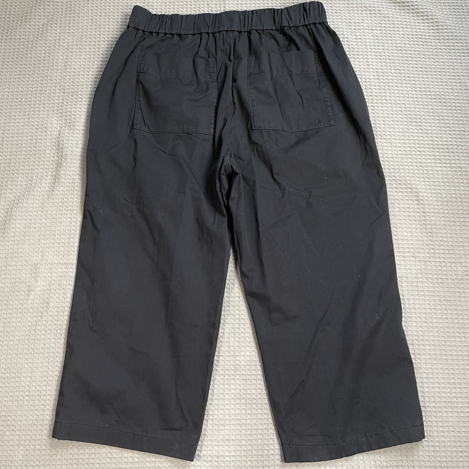 Everlane The Easy Pants XL Womens Pull On Crop Chino Organic Cotton Stretch