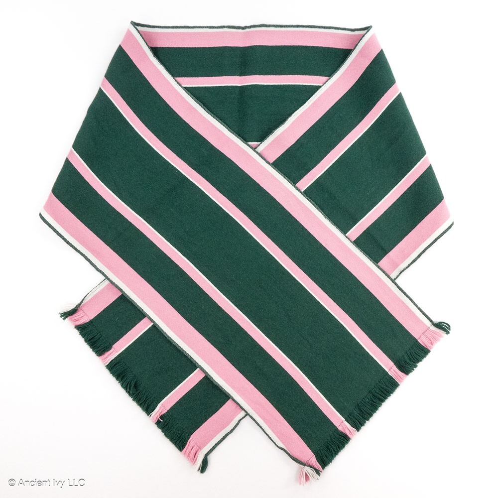 Madewell – scarf/muffler – green/pink/white – 64 x 10 inches