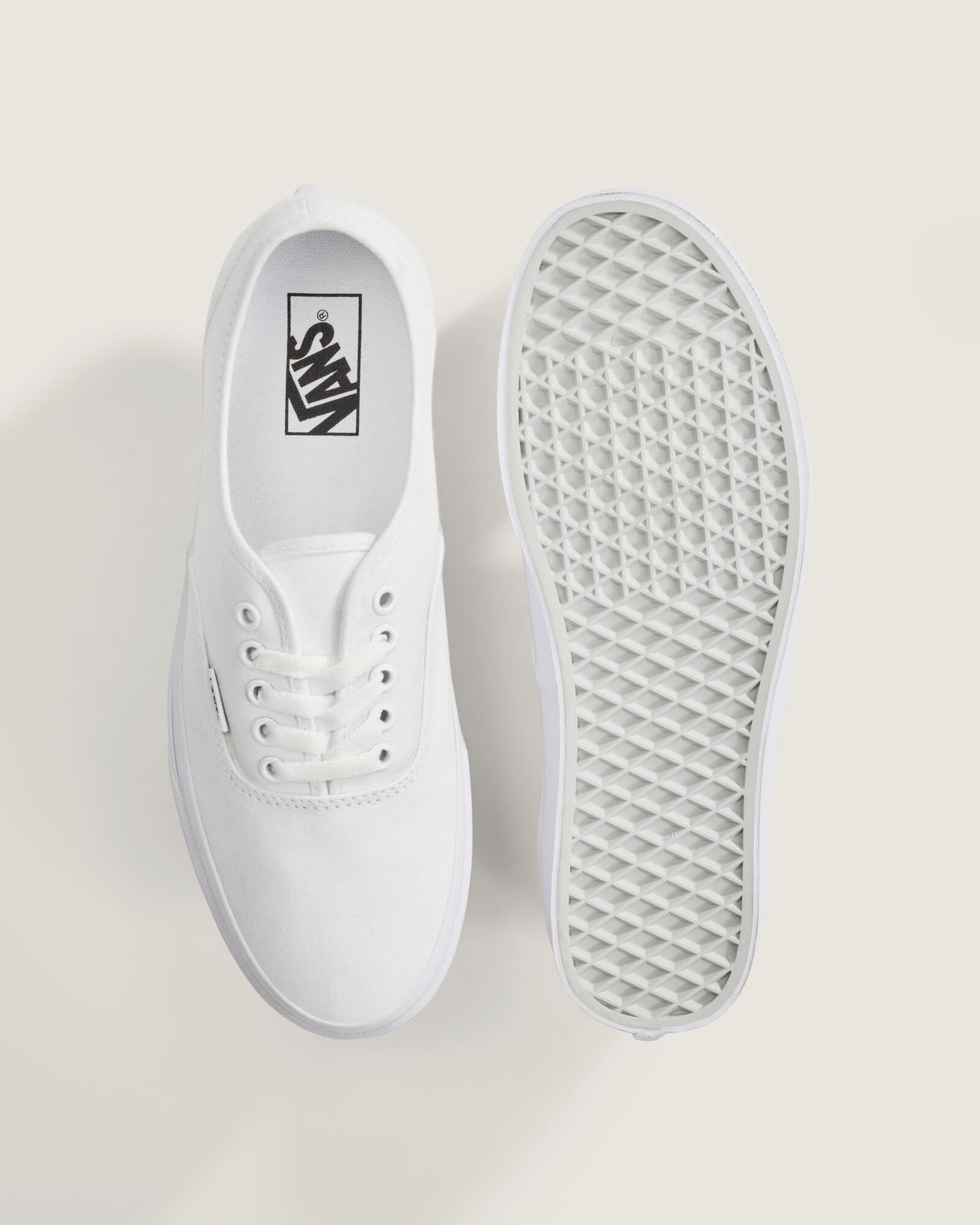 Vans U Authentic Shoes In True White | True White | Authentic New