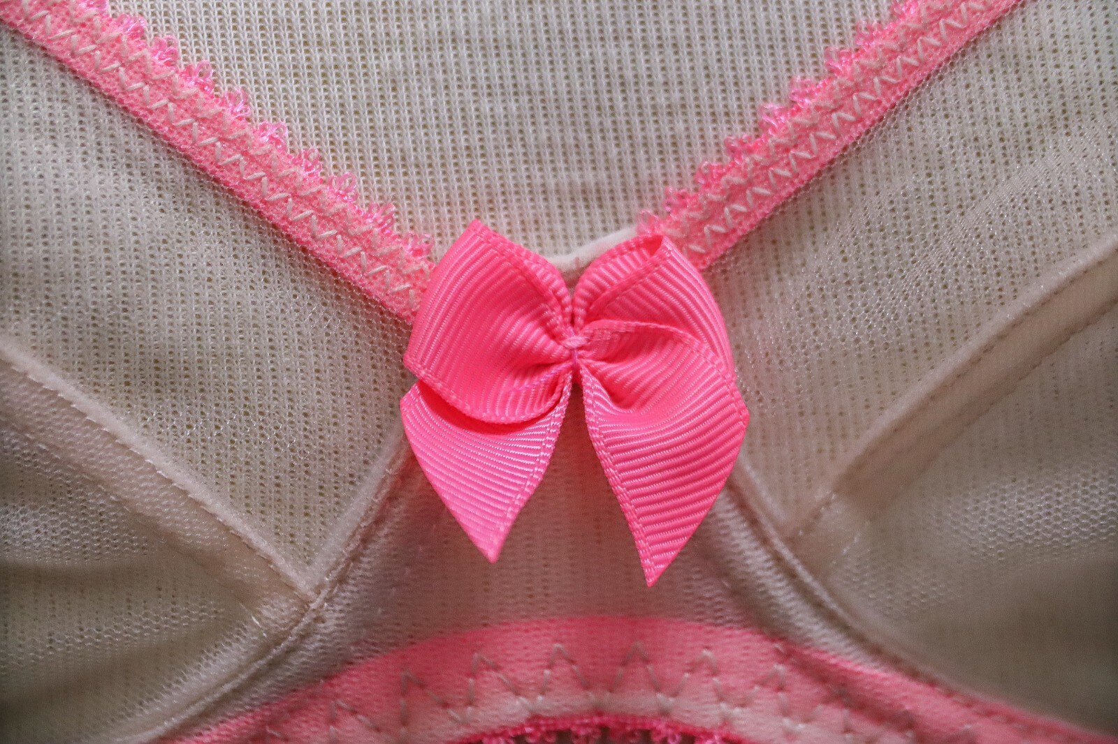 Claudette Dessous Mesh Full Coverage Bra CD2000 Blondie (Nude & Pink)
