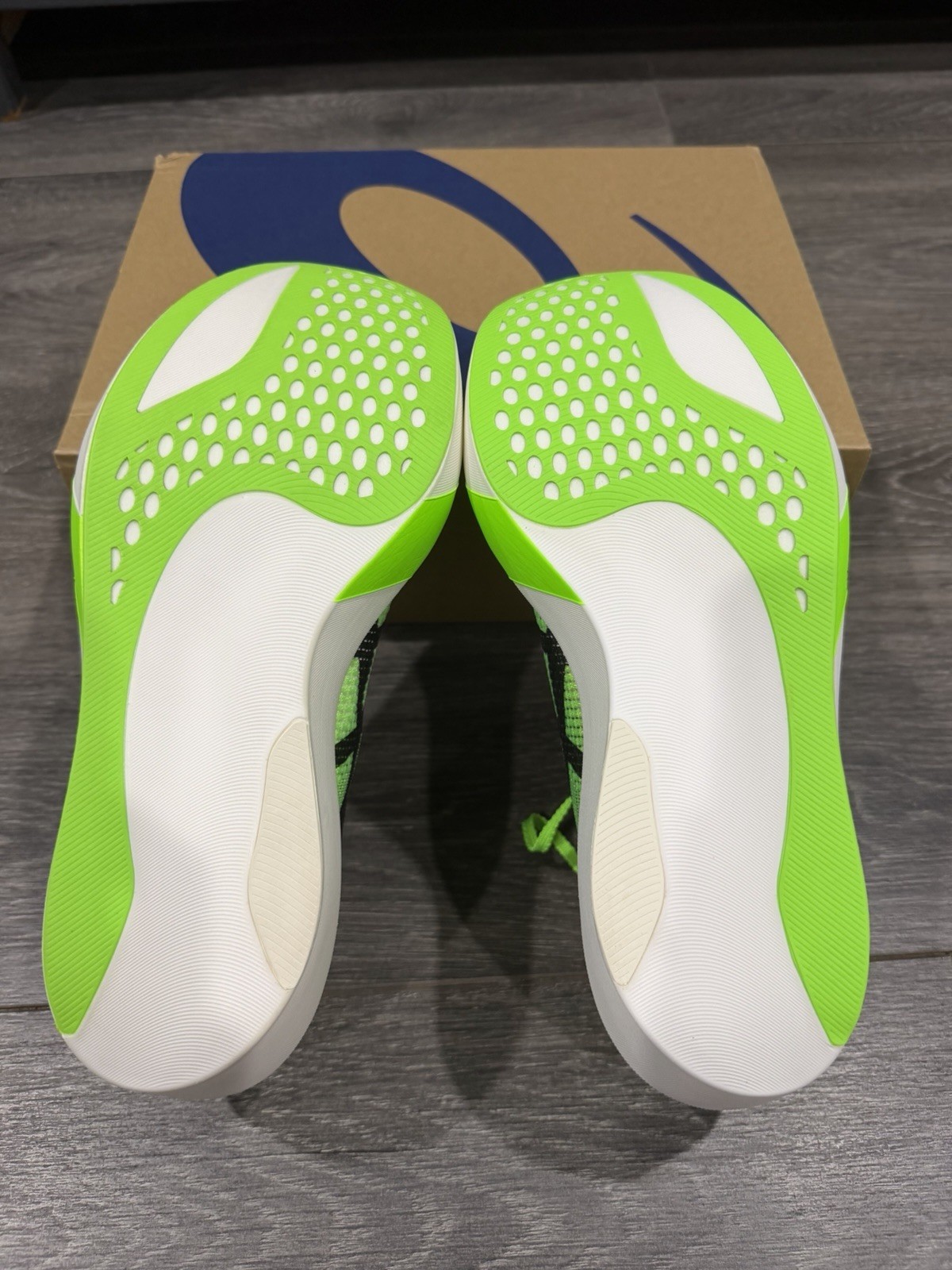 Mens Size 9.5 – ASICS Metaspeed Sky Tokyo Green Gecko New With Box