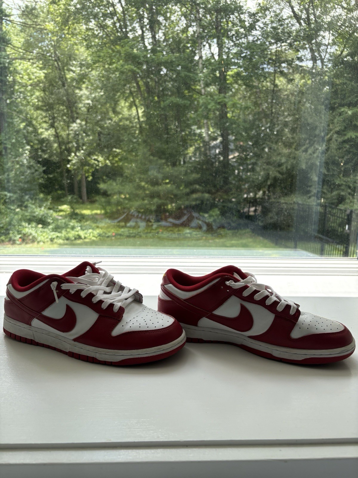 Nike Dunk Low Team Red/White Leather Low Top Men’s Sneakers DD1391-601