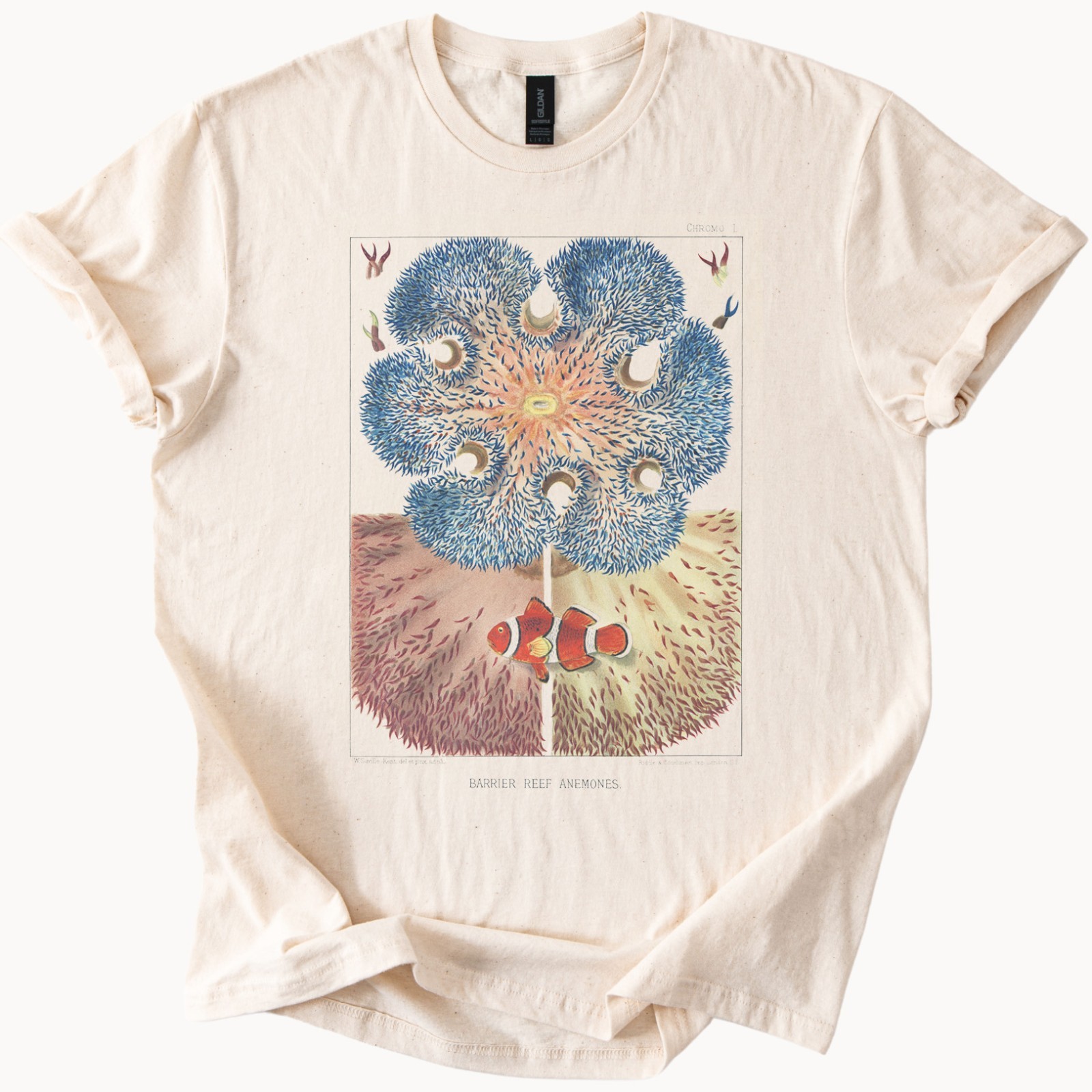 Barrier Reef Anemone Clownfish Graphic Shirt Ocean Life Marine Design Tee